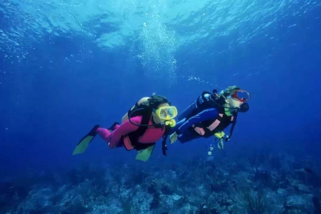 八字命局分析，这个年月出生的人，在这3年里的运势怎么样游戏画面